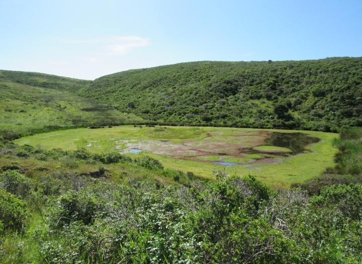 Herp Habitat in Marin County